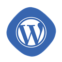 Coding, Blogging, Wp, writing, Development, Logo, Wordpress SteelBlue icon
