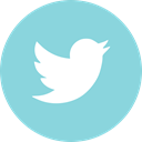 twitter, online, media, Social SkyBlue icon