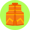 Back to the future, vest, Clothes GreenYellow icon
