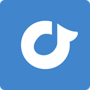 Social, rdio, square, media SteelBlue icon