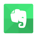 notice, Evernote, App, Notes MediumSeaGreen icon