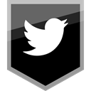 Logo, Social, twitter, media Black icon