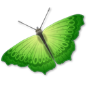 insect, Animal, butterfly Black icon
