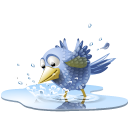 Sn, pool, poolbird, Animal, Social, twitter, bird, water, tweet, social network Black icon