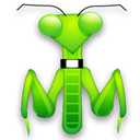 mantis, Animal, insect, bug Black icon