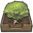 Tree, inbox DimGray icon