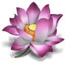 oriental, Flower, pink, icq, plant, lotus Black icon