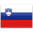 Country, slovenia, flag Crimson icon