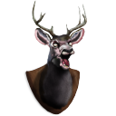 deer, head DarkSlateGray icon