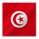 Tunisia Firebrick icon
