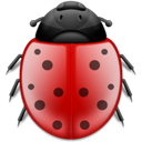bug, insect, ladybird, Animal Black icon