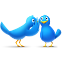 twitter, Social, Animal, social network, bird, Sn, gossip Black icon