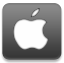 Apple DarkSlateGray icon