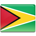 flag, Guyana, Country MediumSeaGreen icon