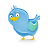 Social, twitter, bird, Animal, Blue, social network, Sn SkyBlue icon