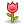 rose DarkSlateGray icon