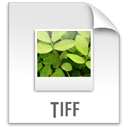 Tiff, paper, File, document Gainsboro icon