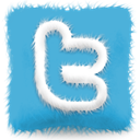 Sn, twitter, furry, Social, Cushion, social network MediumTurquoise icon