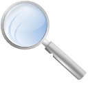 Find, search, seek RoyalBlue icon