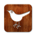 bird, Social, social network, twitter, Sn, square, Animal SaddleBrown icon