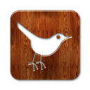 social network, twitter, Social, Animal, bird, square, Sn SaddleBrown icon