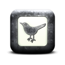 Sn, square, Social, bird, twitter, social network, Animal Black icon