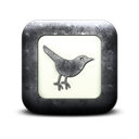 Sn, Social, square, twitter, social network, Animal, bird Black icon