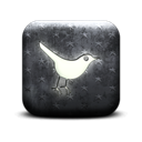 bird, Sn, Social, social network, twitter, Animal Black icon