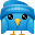 web, tweetle, standard DodgerBlue icon