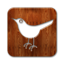 Sn, bird, Social, twitter, square, Animal, social network SaddleBrown icon