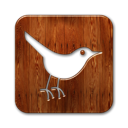 Animal, Social, twitter, Sn, social network, bird, square SaddleBrown icon