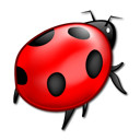 insect, Animal, bug Black icon