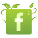 Facebook YellowGreen icon