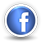 mini, digitaldelight, Facebook Black icon