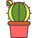 Cactus, dry, plant, Botanical, nature, Dessert Black icon