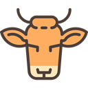horns, cow, Frontal View, Animal, head, Front, Face, Small Horns, Animals Black icon