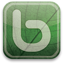 green, eco, Bebo DarkSeaGreen icon
