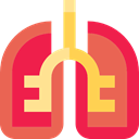 Anatomy, Lung, organ, medical, Breath, Lungs Tomato icon