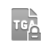 File, Format, Lock, Tga DarkGray icon