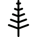 spruce, Tree, nature, Pine, Botanical Black icon