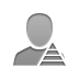 pyramid, user Gray icon