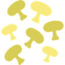 Fungi, food, Muscaria, Mushroom, nature, Mushrooms DarkKhaki icon
