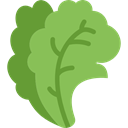 vegetable, salad, food, vegetables, Cabbages, Greens YellowGreen icon