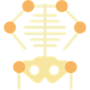 Body Parts, medical, Skeleton, Health Clinic, Bones, Anatomy Black icon