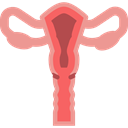 Uterus, Ovary, Ovaries, Reproductive System, Female Organs, Fallopian Tubes, medical, Anatomy Black icon