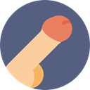 Reproductive System, Masculine Organs, Anatomy, Urology, medical, penis DimGray icon