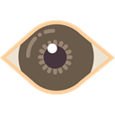 Ophthalmology, Spiral, Body Parts, random, medical, vision, iris, Eyes, Eye DimGray icon