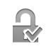 checkmark, Lock, open Gray icon