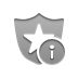 security, Info DarkGray icon