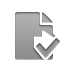 File, checkmark, transfer Gray icon